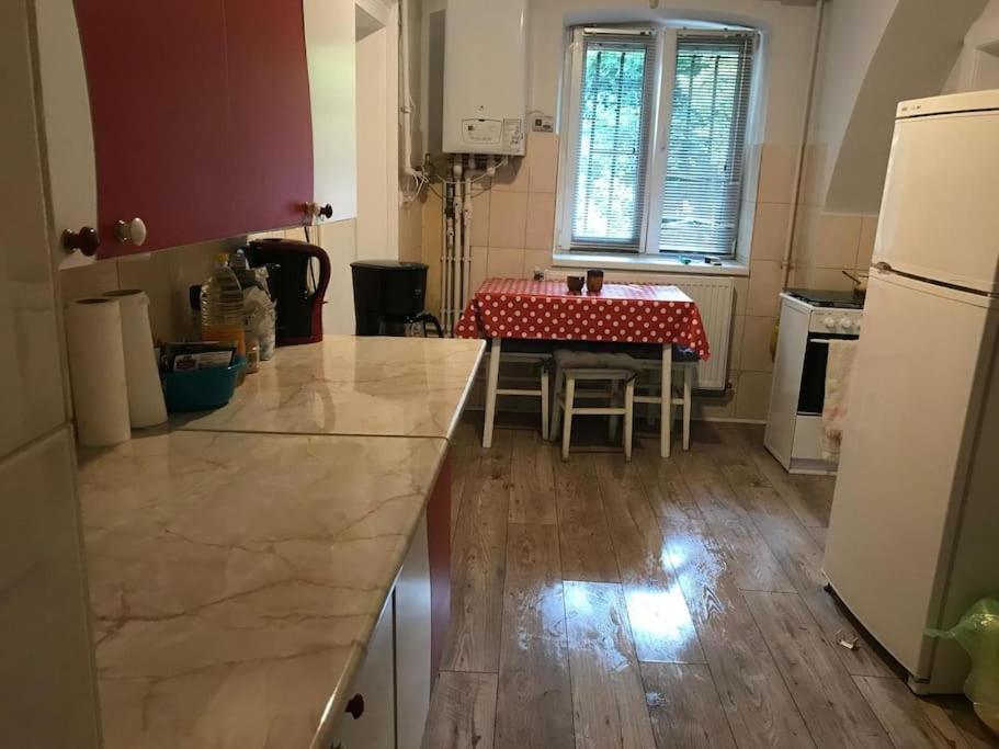 R Castle - 2 Room Apartment Braşov Esterno foto